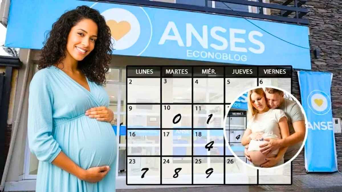 ANSES Econoblog febrero 2026 quién cobra cuánto y cómo inscribirse